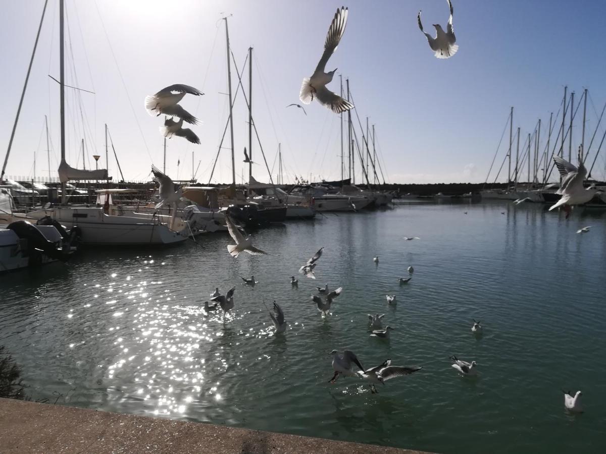 Casa Gio Ξενοδοχείο Λίντο ντι Όστια Εξωτερικό φωτογραφία